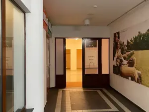 Prodej obchodního prostoru, Karlovy Vary, Divadelní náměstí, 100 m2