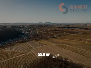 Prodej sadu/vinice, Němčičky, 4556 m2