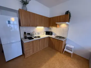 Pronájem bytu 2+kk, Praha - Břevnov, Bělohorská, 54 m2