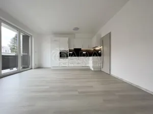 Pronájem bytu 2+kk, Česká, 48 m2