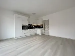 Pronájem bytu 2+kk, Česká, 48 m2