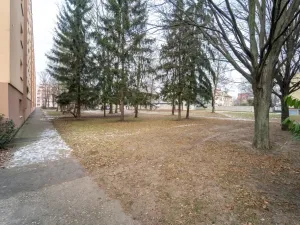 Prodej bytu 2+1, Kolín - Kolín II, Družstevní, 53 m2