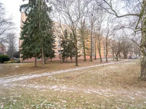 Prodej bytu 2+1, Kolín - Kolín II, Družstevní, 53 m2