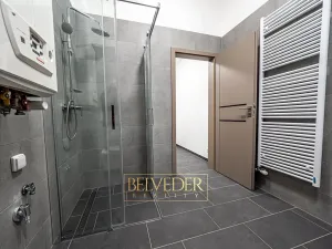 Pronájem bytu 3+kk, Teplice, Pražská, 44 m2