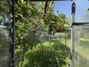 Prodej chaty, Dubí, B. Němcové, 16 m2