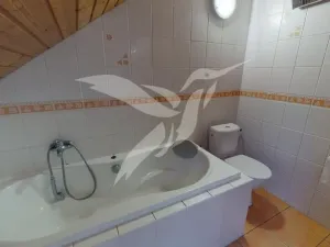 Pronájem rodinného domu, Plzeň, Sušická, 170 m2