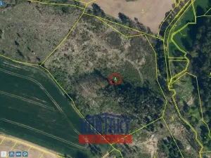 Prodej lesa, Vokov, 19055 m2