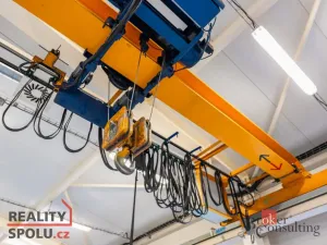 Pronájem výrobních prostor, Blešno, 700 m2