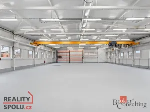 Pronájem výrobních prostor, Blešno, 700 m2