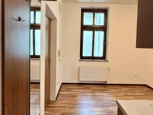 Pronájem bytu 1+1, Ostrava - Přívoz, Špálova, 45 m2