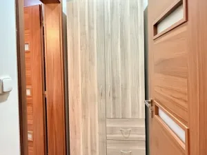 Pronájem bytu 1+1, Ostrava - Přívoz, Špálova, 45 m2