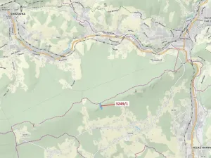 Dražba lesa, Velké Hamry, 5995 m2