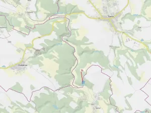 Dražba lesa, Pyšel, 6602 m2