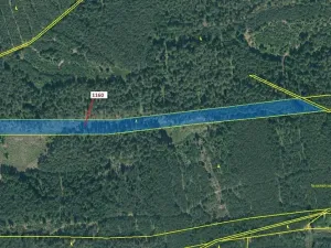 Dražba lesa, Jesenice, 12984 m2