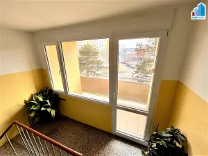 Prodej bytu 2+1, Plzeň - Bolevec, Sokolovská, 56 m2