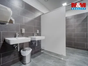 Pronájem kanceláře, Plzeň - Lobzy, Republikánská, 18 m2