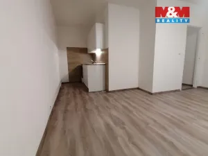 Pronájem bytu 1+kk, Ústí nad Labem - Krásné Březno, Dr. Horákové, 31 m2