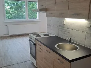 Pronájem bytu 1+kk, Liberec - Liberec XIV-Ruprechtice, Borový vrch, 28 m2