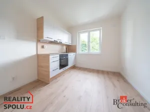 Pronájem bytu 1+1, Ostrava - Mariánské Hory, Cottonové, 38 m2