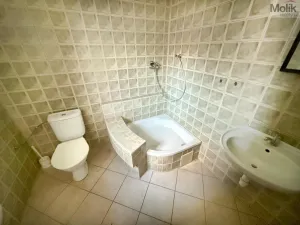 Pronájem obchodního prostoru, Osek, Tyršova, 150 m2