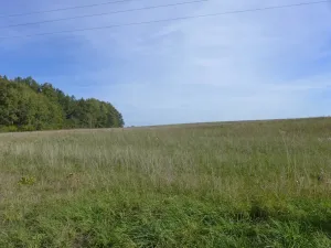 Prodej komerčního pozemku, Horní Planá, 16135 m2