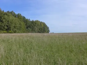 Prodej komerčního pozemku, Horní Planá, 16135 m2