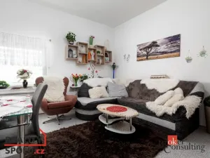 Pronájem bytu 2+kk, Opava - Předměstí, Krnovská, 41 m2