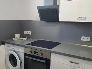 Pronájem bytu 2+1, Plzeň, Žlutická, 33 m2