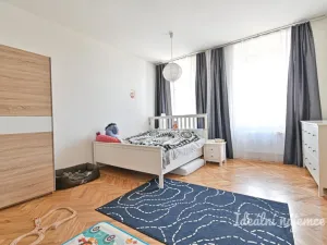 Pronájem bytu 2+1, Brno, Cejl, 70 m2