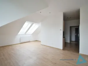 Pronájem bytu 1+kk, Nová Paka, P. Bezruče, 47 m2