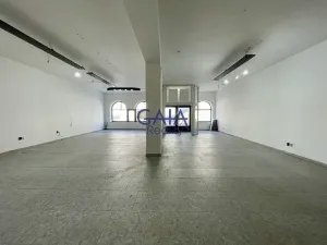 Pronájem obchodního prostoru, Veselí nad Moravou, Zámecká, 184 m2