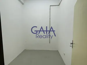 Pronájem obchodního prostoru, Veselí nad Moravou, Zámecká, 184 m2