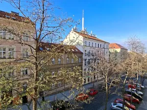 Pronájem bytu 2+kk, Praha - Žižkov, Lucemburská, 43 m2