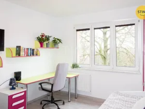 Pronájem bytu 3+kk, Karviná, Sovova, 56 m2