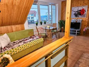 Pronájem bytu 1+kk, Nový Jičín, B. Martinů, 30 m2