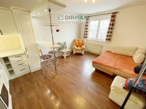 Pronájem bytu 1+kk, Plzeň - Východní Předměstí, Sladkovského, 27 m2