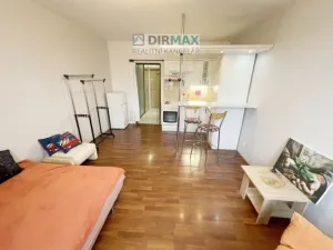 Pronájem bytu 1+kk, Plzeň - Východní Předměstí, Sladkovského, 27 m2