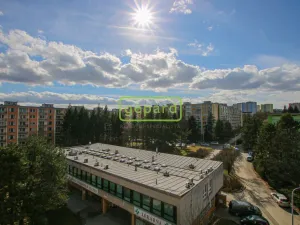 Pronájem bytu 1+1, Brno, Palackého třída, 39 m2