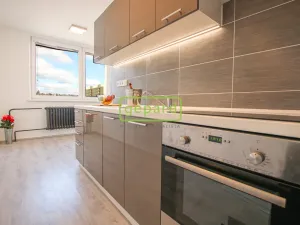 Pronájem bytu 1+1, Brno, Palackého třída, 39 m2