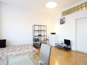 Pronájem bytu 1+kk, Brno - Veveří, Dřevařská, 34 m2