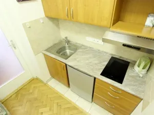 Pronájem bytu 1+kk, Brno - Veveří, Dřevařská, 34 m2