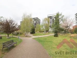 Pronájem bytu 1+kk, Praha - Žižkov, Pitterova, 66 m2