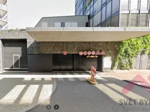 Pronájem bytu 1+kk, Praha - Žižkov, Pitterova, 66 m2