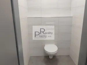 Pronájem kanceláře, Hevlín, 33 m2