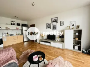 Pronájem bytu 2+kk, Opava, Hálkova, 61 m2