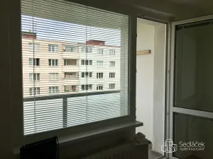 Pronájem bytu 1+1, Sokolov, Švabinského, 43 m2