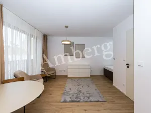 Pronájem bytu 1+kk, Praha - Karlín, Křižíkova, 32 m2