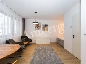 Pronájem bytu 1+kk, Praha - Karlín, Křižíkova, 32 m2