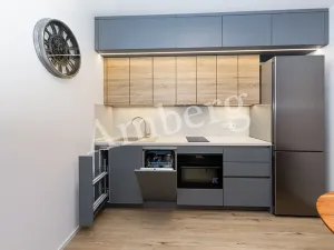 Pronájem bytu 1+kk, Praha - Karlín, Křižíkova, 32 m2