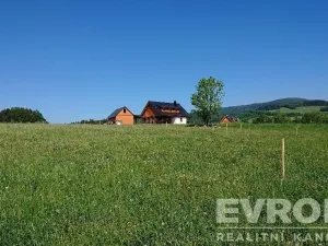 Prodej pozemku pro bydlení, Černý Důl, 1370 m2